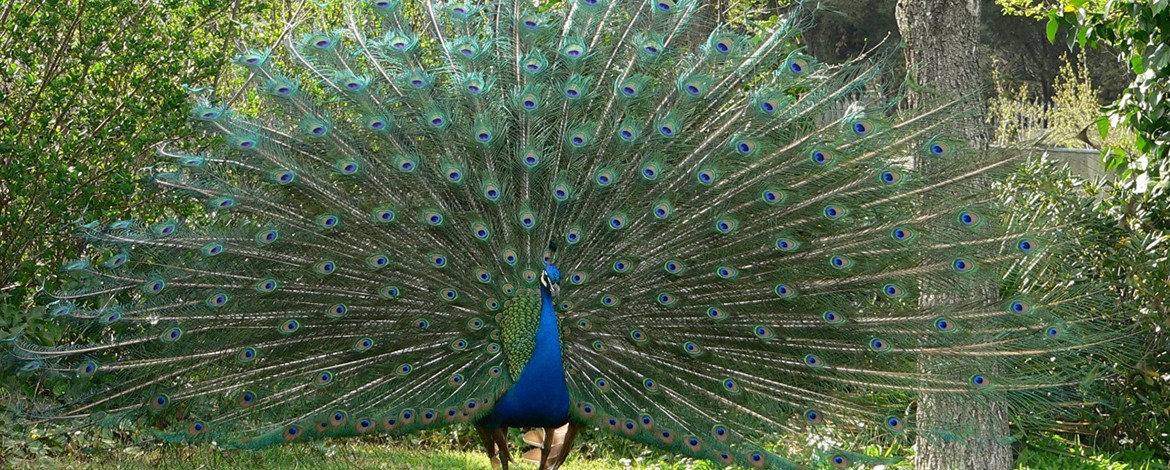 Proteggi e preserva i tuoi beni più preziosi