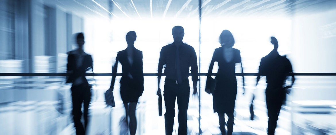 Un team di esperti per soddisfare le tue esigenze